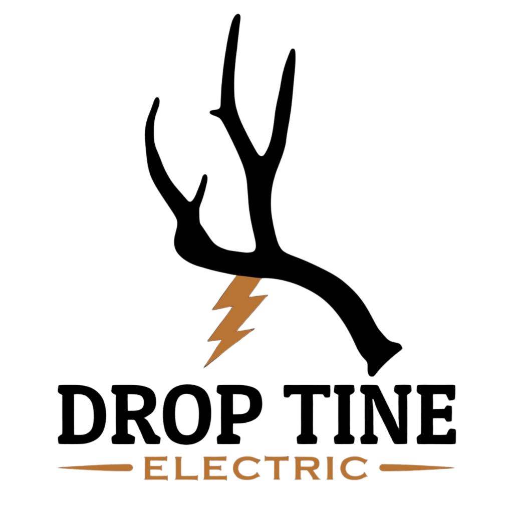 Drop Tine Electric logo